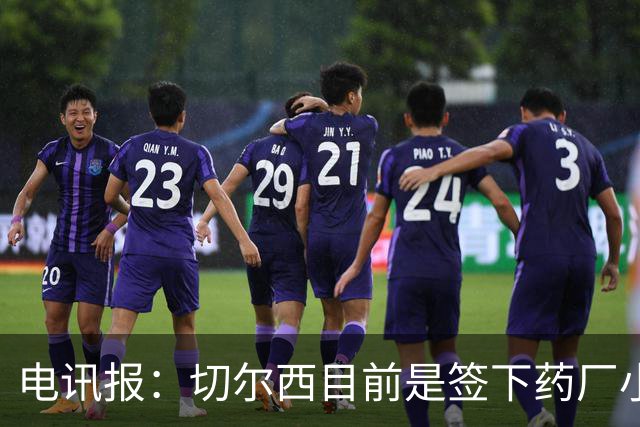 电讯报：切尔西目前是签下药厂小将阿拉伊贝戈维奇的最大热门
