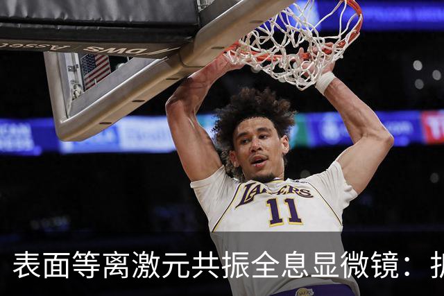表面等离激元共振全息显微镜：折射率与厚度测量的新突破